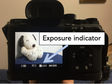 Exposure Indicator